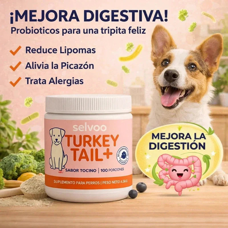 TURKEY TAIL+ - PROBIOTICO MASCOTA