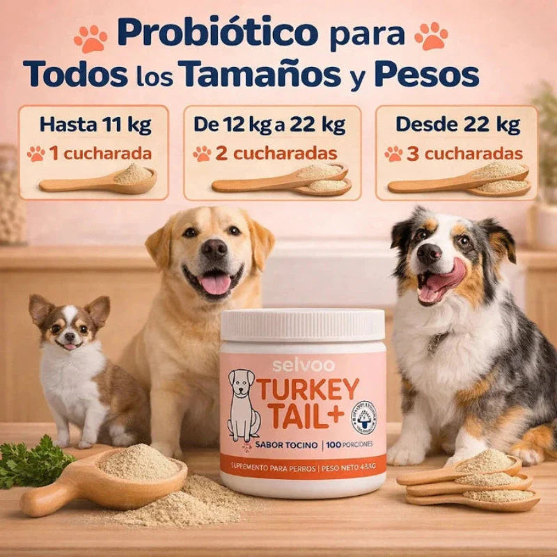 TURKEY TAIL+ - PROBIOTICO MASCOTA